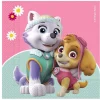 Papirservietter>20 Servietter Paw Patrol Skye & Everest™ 33 x 33 cm. Size-Standard