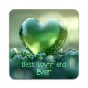 Bordskånere Til Glas>2 STK Best Boyfriend Ever Coastere