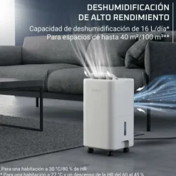 Affugter Rowenta DH5260F0 300 W Best