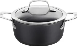Gryder, Stegepander Og Kasseroller>BALLARINI Alba gryde med låg titanium 2,7 L ALBG2LD.20D