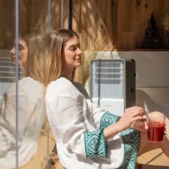 Bærbart klimaanlæg Cecotec ForceClima 12650