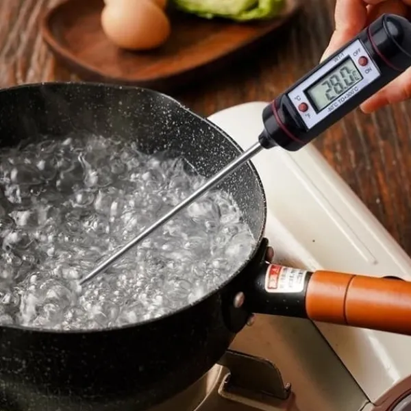 Køkkentermometre>ELEKTRISK KØKKENTERMOMETER MED SONDE TIL GRILLNING OG STEGNING AF KØD