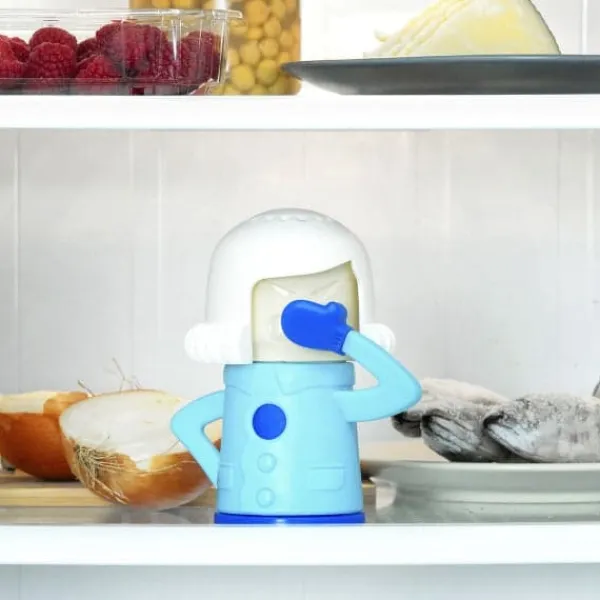 Tefiltre>InnovaGoods Fridge deodorizer Fummom