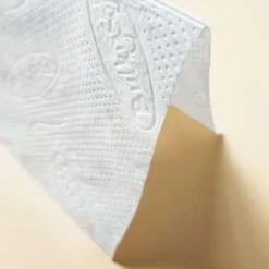Økologisk papirhåndklæde i ark, kort, 21x21 cm, foldet, ZZ V-FOLD, 3000 stk., hvid, 2 lag Online