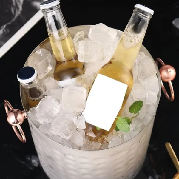3L bærbar isspand i rustfrit stål med champagnefad og håndtag til brug i hjemmebaren