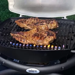 Griller><noscript><img width=