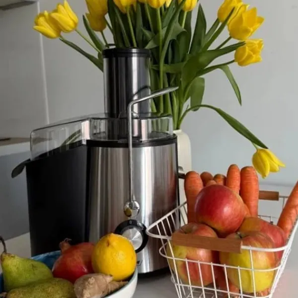Juicepresser - Nyd Friskpresset Juice Derhjemme>Maestro MR-1311 elkedel 3,0 L Rustfrit stål