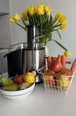 Juicepresser - Nyd Friskpresset Juice Derhjemme><noscript><img width=