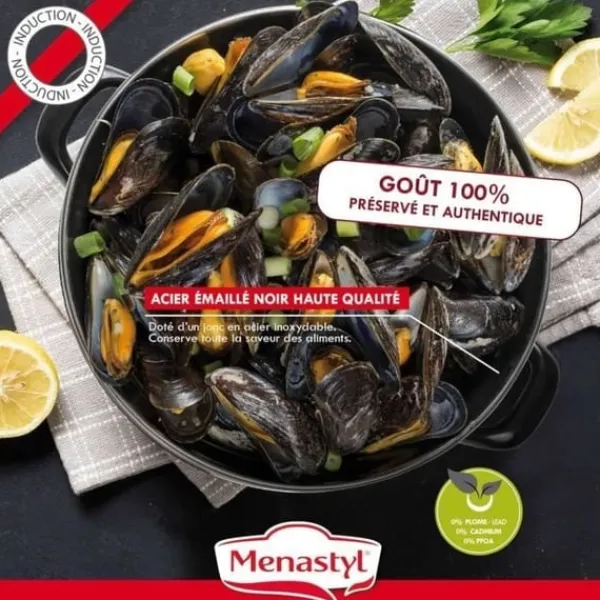 Muslingegryde - MENASTYL - 3645567 - Emaljeret stål - Sort - 18 cm - 2,7 liter - Velegnet til alle kogeplader inklusive induktion Best