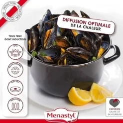 Muslingegryde - MENASTYL - 3645567 - Emaljeret stål - Sort - 18 cm - 2,7 liter - Velegnet til alle kogeplader inklusive induktion Best