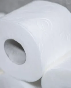 Toiletpapir><noscript><img width=