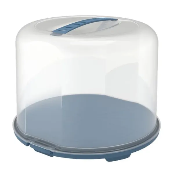 Rotho Fresh kageæske XL 35,5x34,5x26 cm Horizon Blå/Transparent Outlet