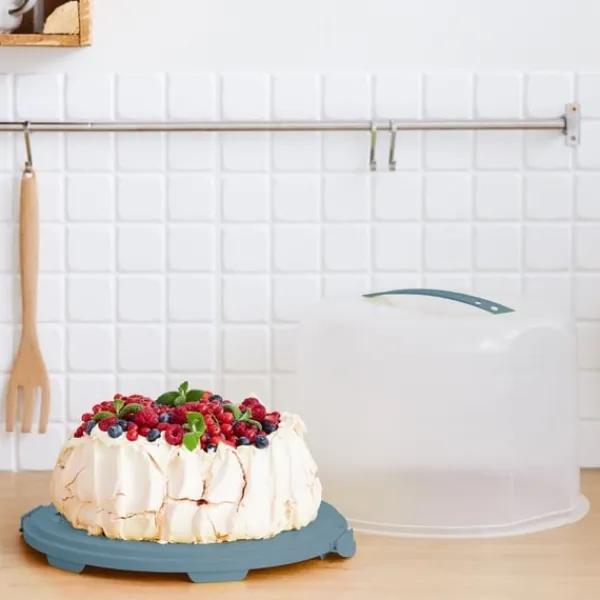 Rotho Fresh kageæske XL 35,5x34,5x26 cm Horizon Blå/Transparent Outlet