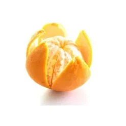 Rustfri citrusskrællekniv - Hendi 856055 Outlet