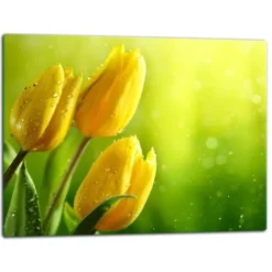Skeer & Skovle>SKÆREBRÆT I GLAS 52x40 BLOMSTER