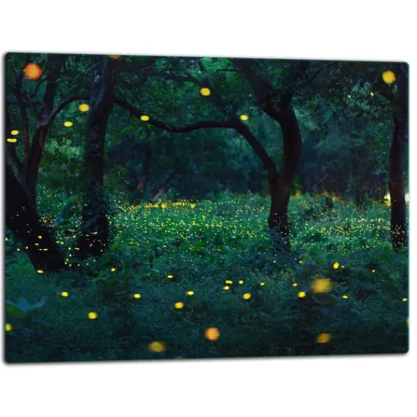 SKÆREBRÆT I GLAS 52x40 FOREST Sale