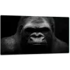 Skeer & Skovle>SKÆREBRÆT I GLAS 52x30 GORILLA