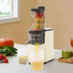 Slow Juicer YZJ02 - Koldpresset Saftpresser - 800W 220V EU-stik - 48 omdr./min - 500 ml - Frugtkødsseparation - Beige Discount