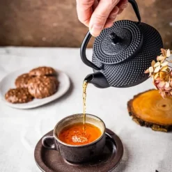 Støbejern tekande infuser 0,3L KINGHOFF KH-1817 Online