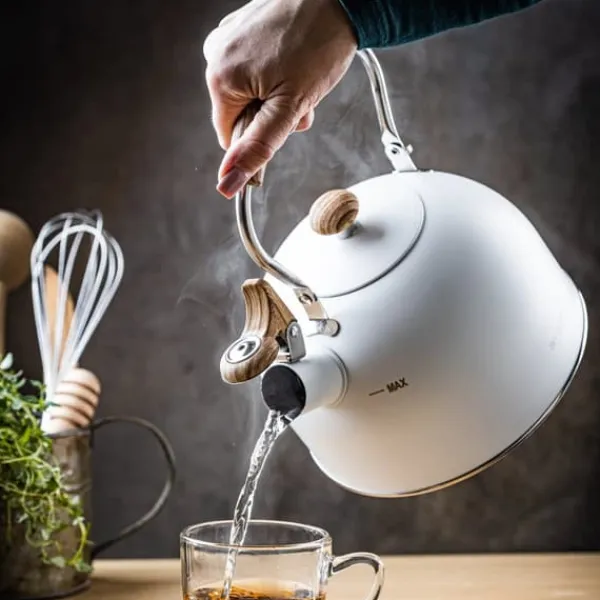 Elkedel>Stålgaskedel 2,5L induktion, mat hvid KINGHOFF KH-1860
