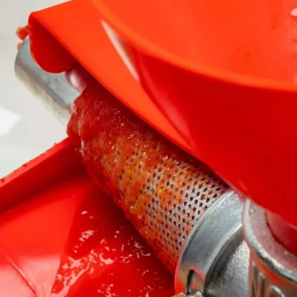 TOMAT OG FRUGT JUICER KINGHOFF KH-2202