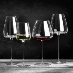 Vision Champagne glass Rich, 2-pack - Zieher Clearance
